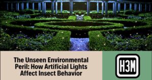 Read more about the article Artificial Lights Insect Behavior: Navigating the Unseen Environmental Peril