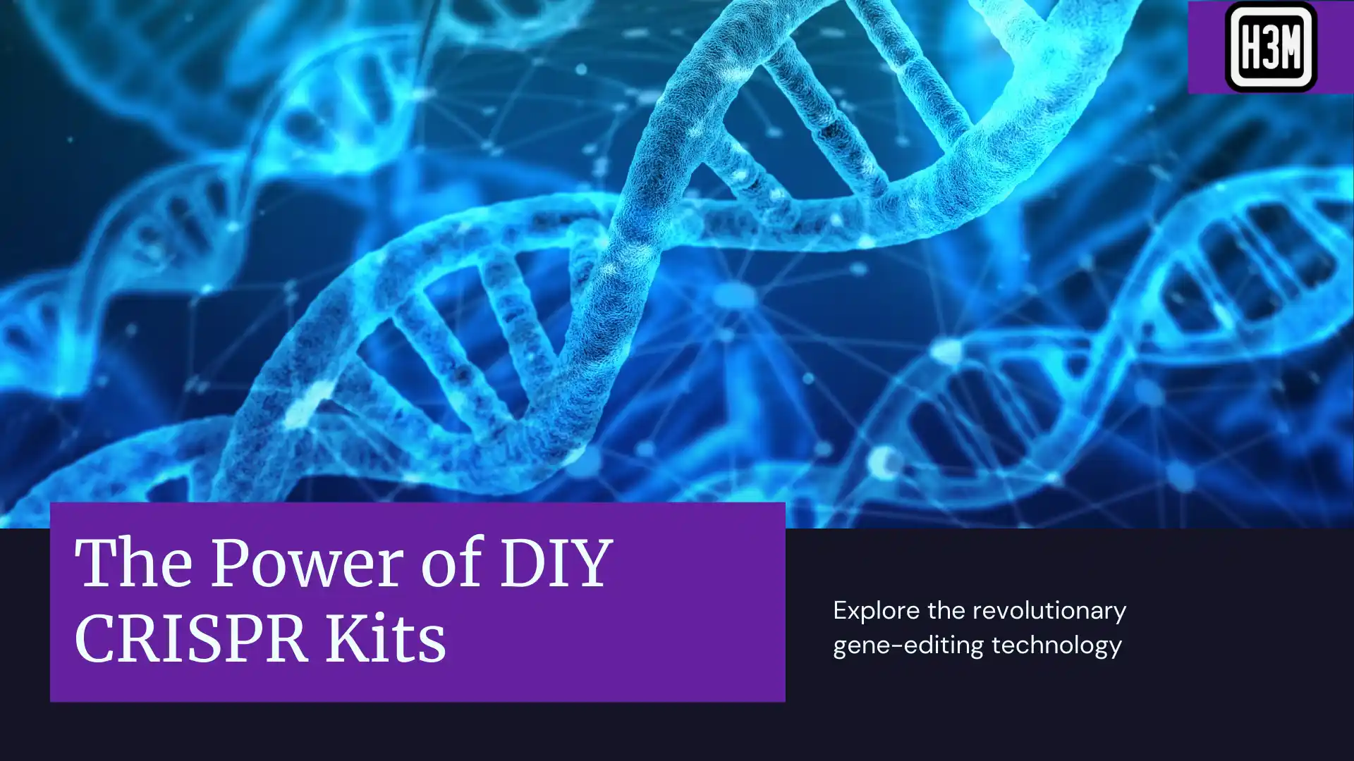 Read more about the article Unleashing Potential: How DIY CRISPR Kits Empower Personal Genetic Innovation